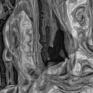 Musterbildungsprozesse